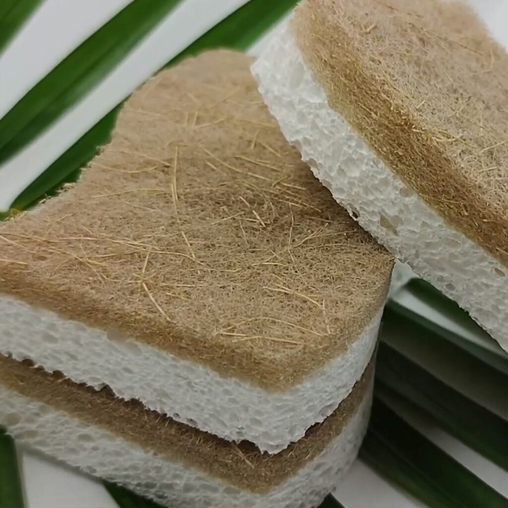 Coconut Scrubber – নারকেল ছোবড়ার মাজুনি, নারকেলের ছোবড়া ও নরম স্পঞ্জের দুই স্তর